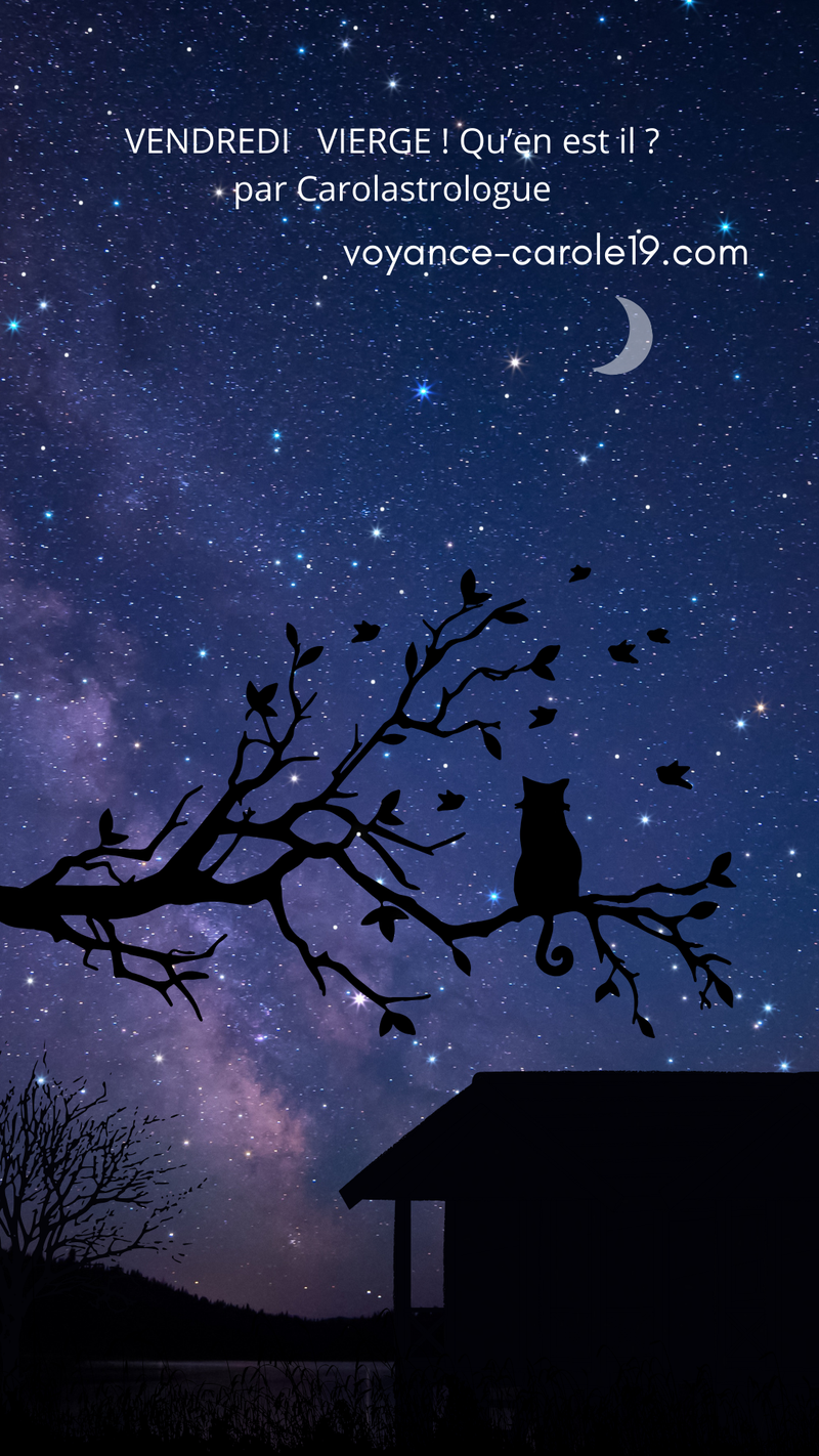 Mois de la Vierge – Purification, Réveil Spirituel & Guidance Carolastrologue