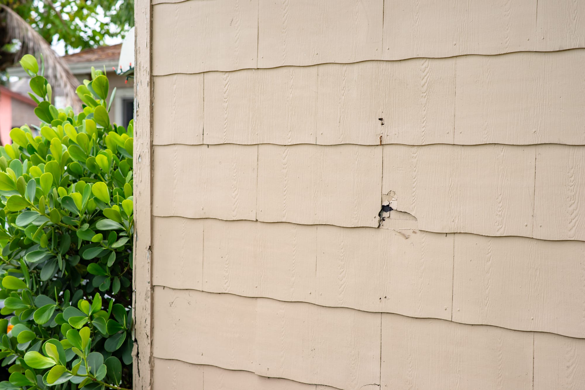 Is It Safe? 5 Crucial Steps for Painting Asbestos Siding Safely