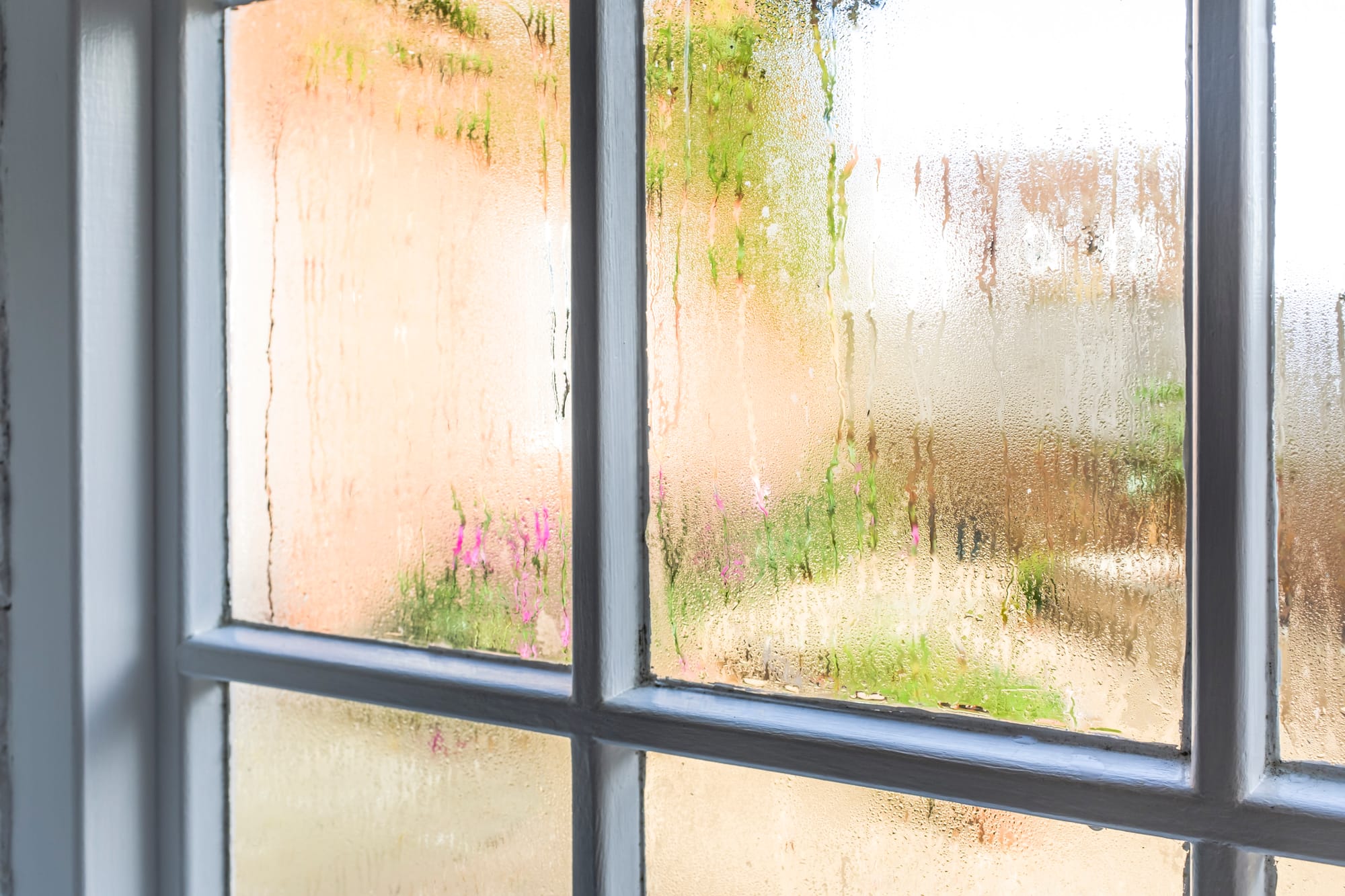 Paint Doesn’t Stick in Humid Weather – True or False?