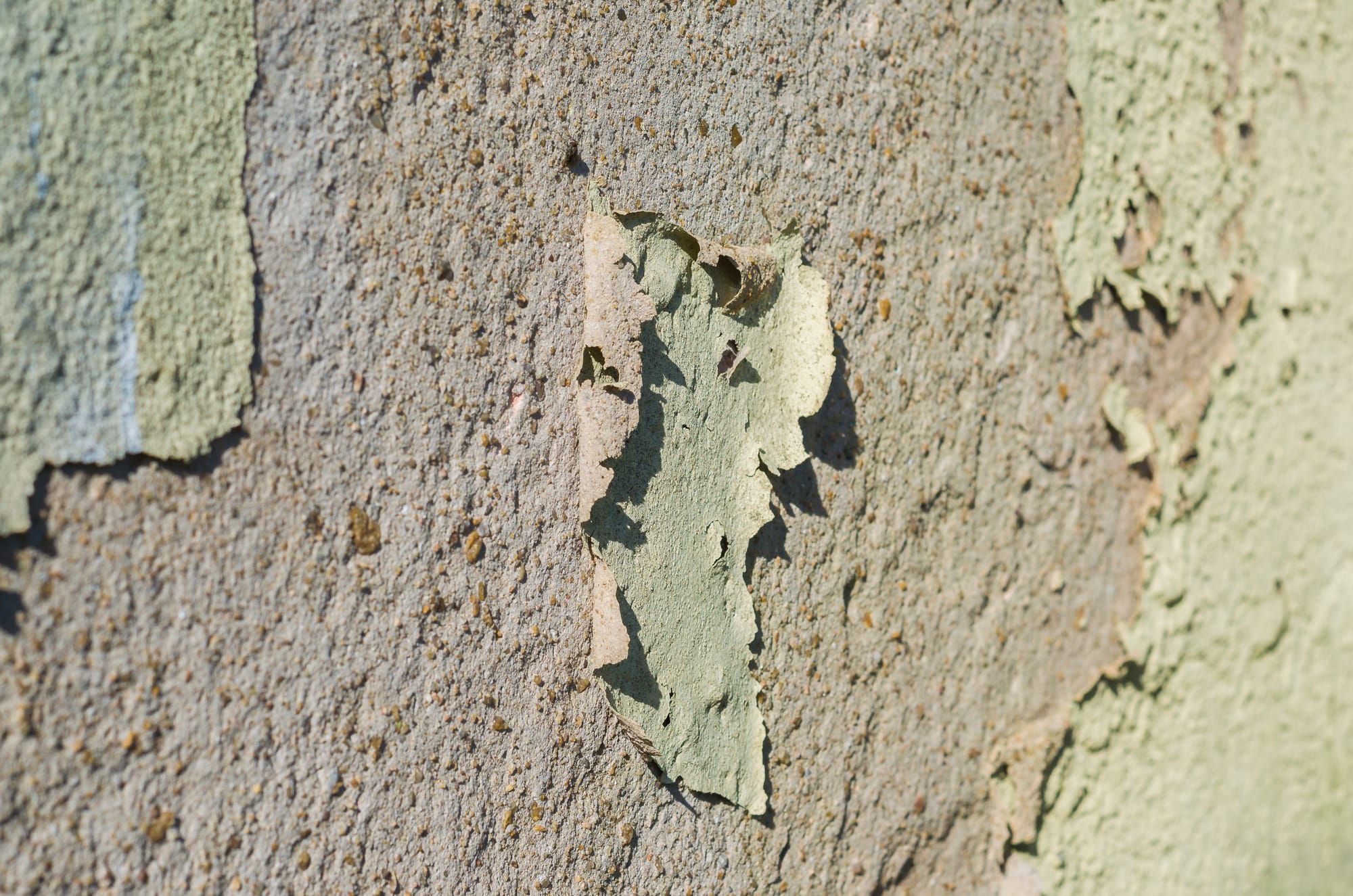 Why Your Home Paint Job Fails (And How to Automate Avoiding It)