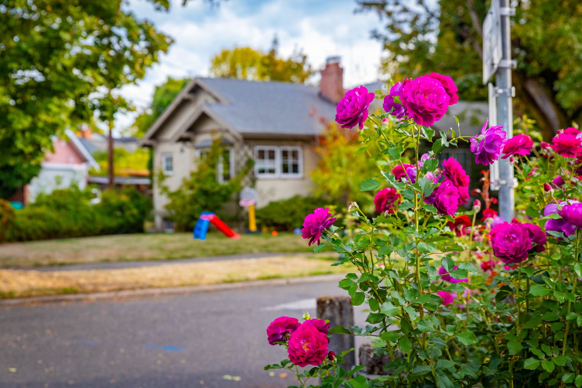 Home Painting Services in Portland: Interior, Exterior and Maintenance Options