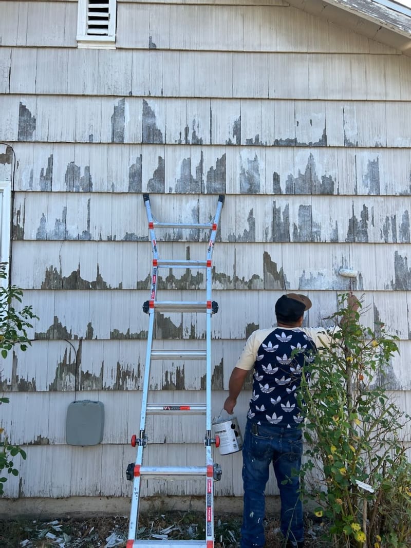 Paint Failure Inspection