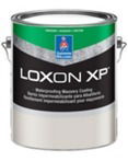 Loxon XP - lightmen painting - portland oregon