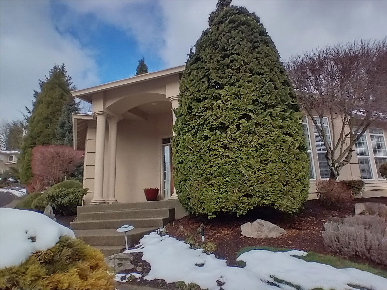 stucco house, portland oregon