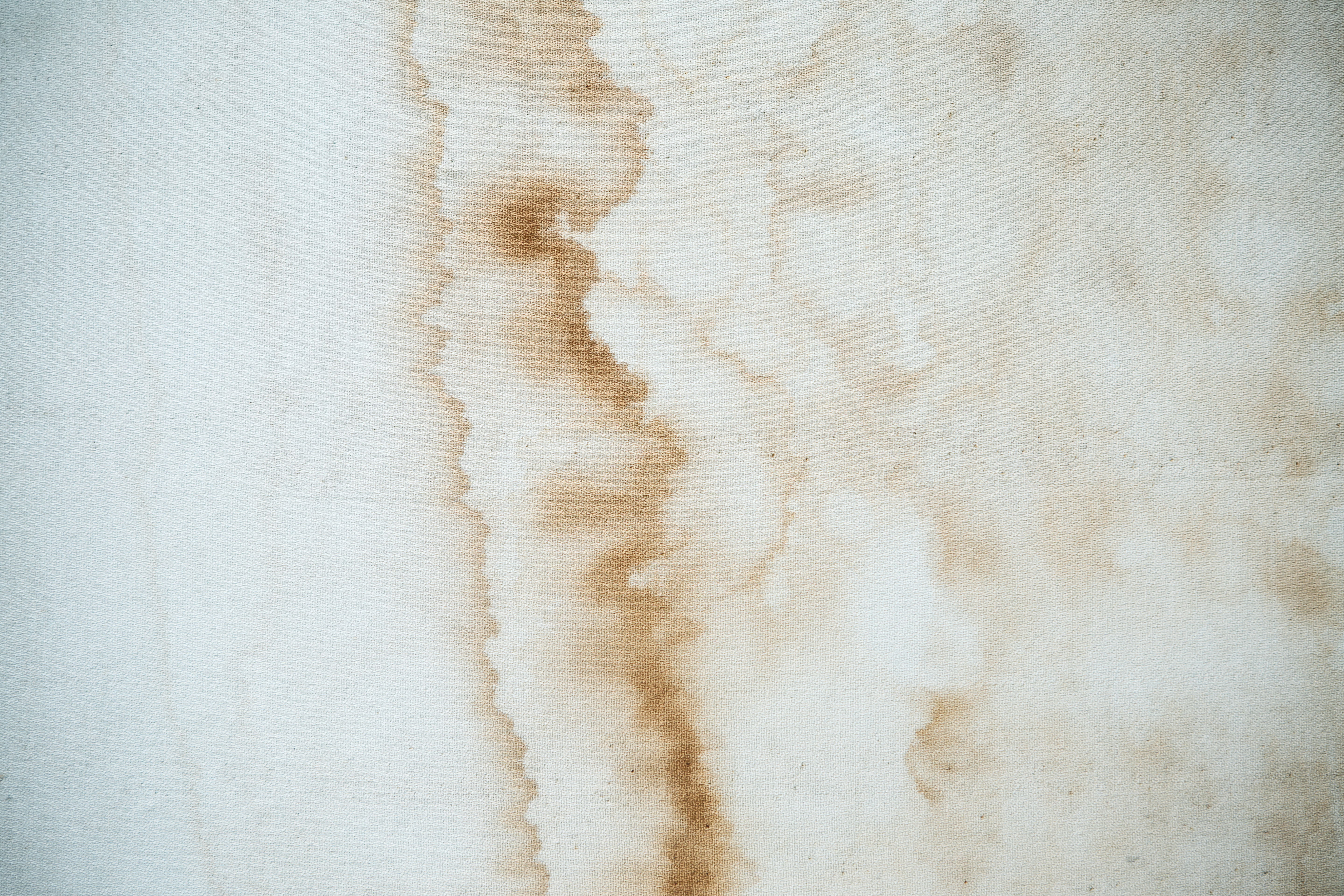 wall stain portland oregon