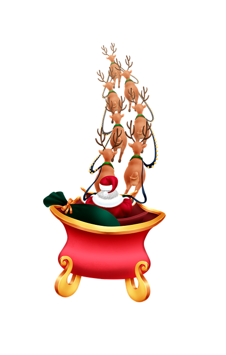 Les rennes du Père Noël