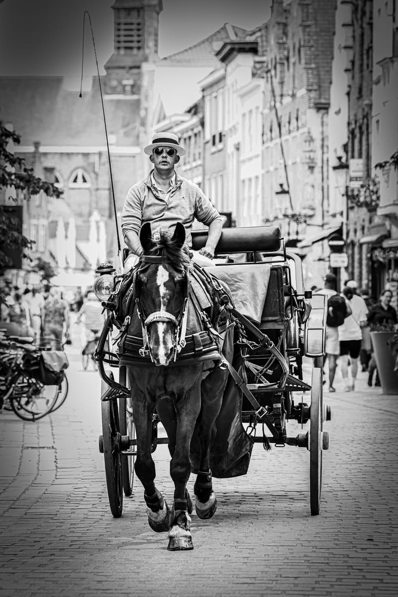 Through my lens, I capture timeless moments, turning them into cherished stories of beauty and emotion.