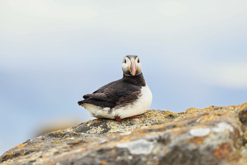 Embark on a visual journey with my lens as I capture the beauty, culture, and moments of destinations worldwide.