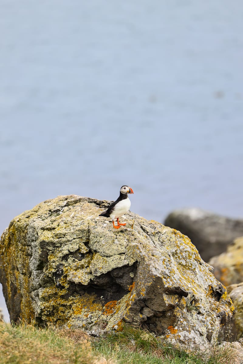 Embark on a visual journey with my lens as I capture the beauty, culture, and moments of destinations worldwide.