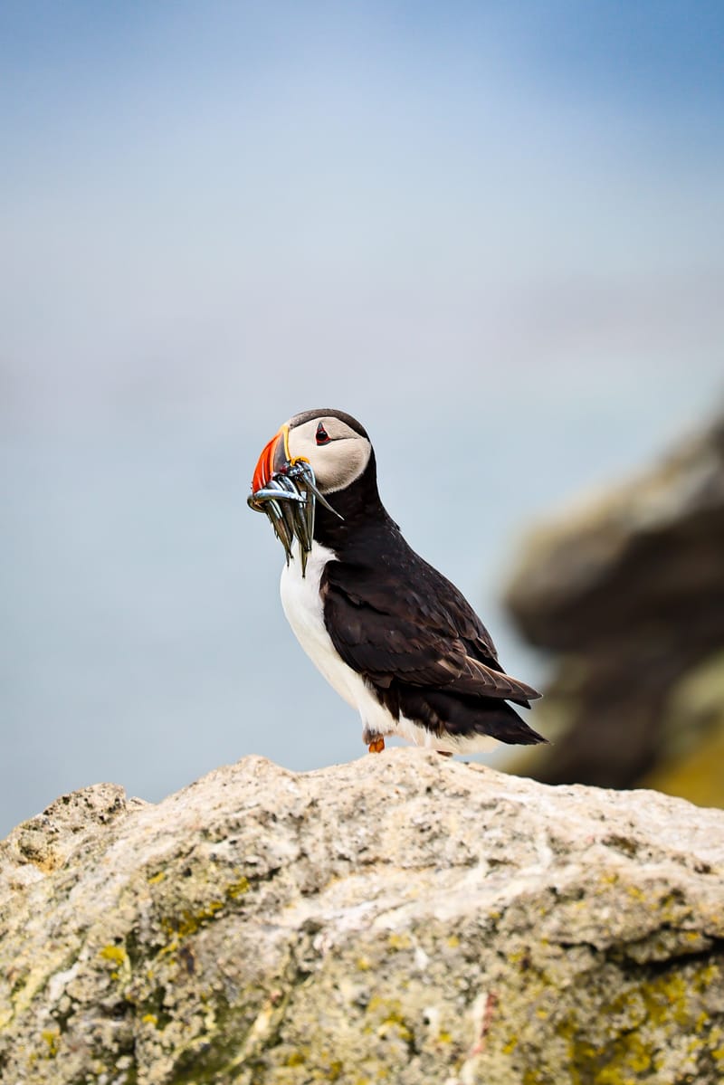 Embark on a visual journey with my lens as I capture the beauty, culture, and moments of destinations worldwide.