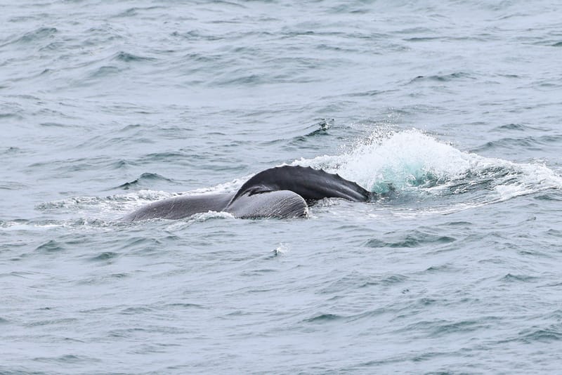 Embark on a visual journey with my lens as I capture the beauty, culture, and moments of destinations worldwide.