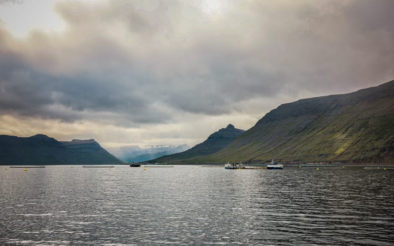 Embark on a visual journey with my lens as I capture the beauty, culture, and moments of destinations worldwide.