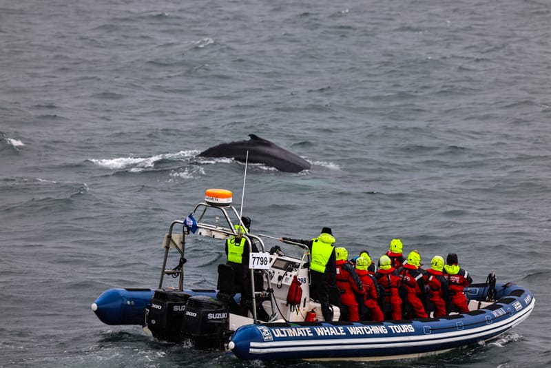 Embark on a visual journey with my lens as I capture the beauty, culture, and moments of destinations worldwide.