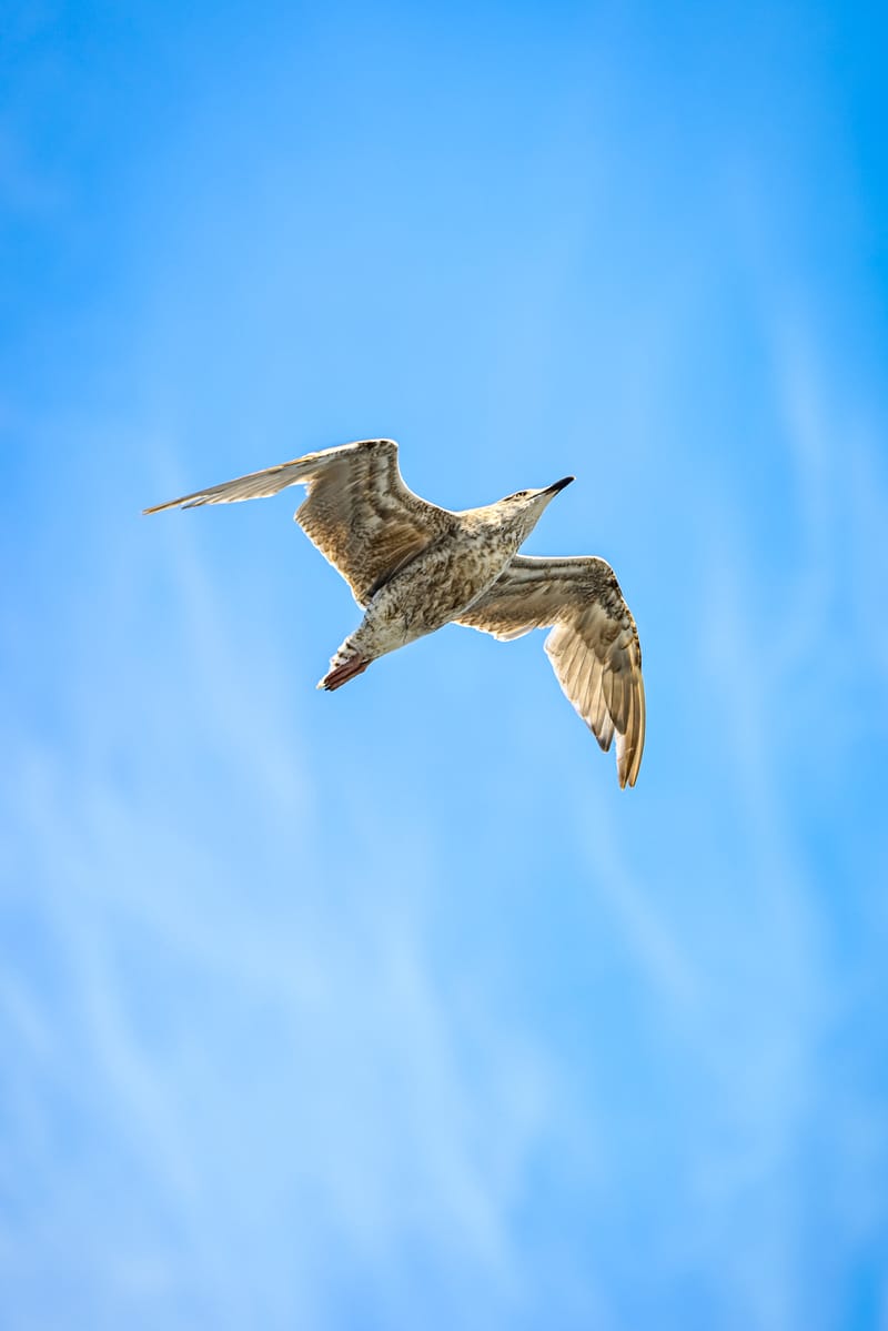 Embark on a visual journey with my lens as I capture the beauty, culture, and moments of destinations worldwide.