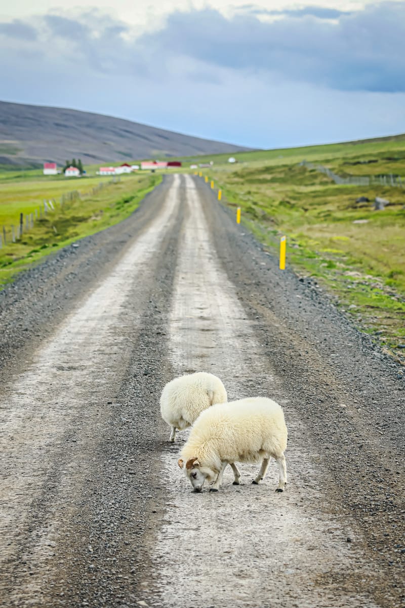 Embark on a visual journey with my lens as I capture the beauty, culture, and moments of destinations worldwide.