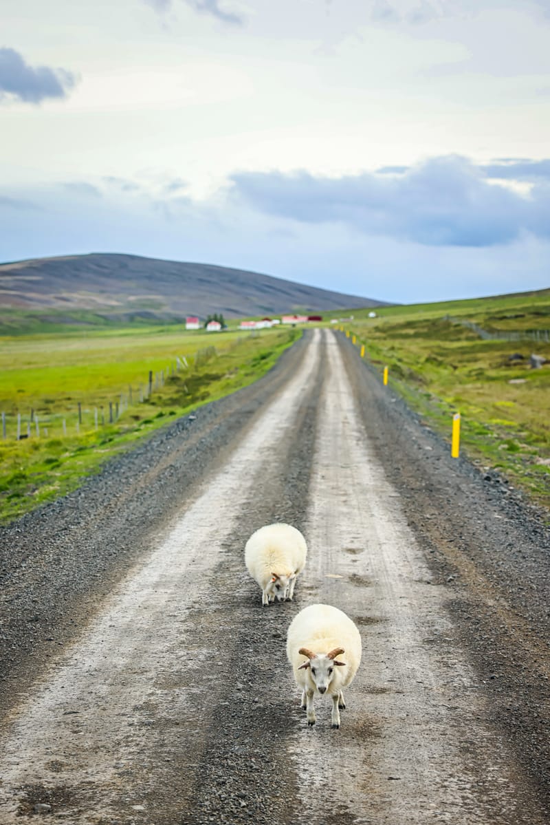 Embark on a visual journey with my lens as I capture the beauty, culture, and moments of destinations worldwide.