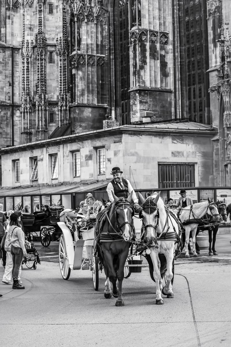 Through my lens, I capture timeless moments, turning them into cherished stories of beauty and emotion.