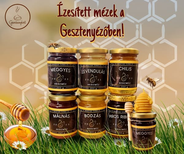 Gesztenyéző - Sarkpont Zrt. / Kaposvár Bajcsy-Zs. u. 16.-18.