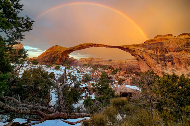 Dreaming a New World Into Being
