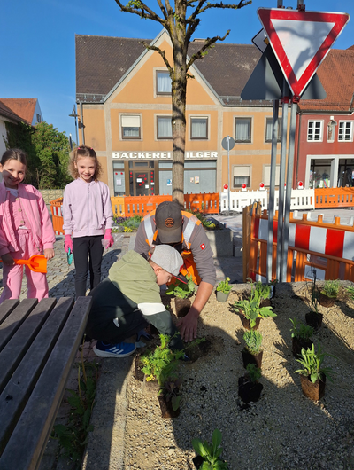 Pflanz- & Traumfängeraktion im Zuge der Einweihungsfeier am 24.05. & 25.05.2025