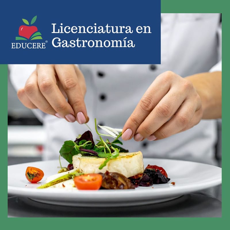LICENCIATURA EN GASTRONOMÍA