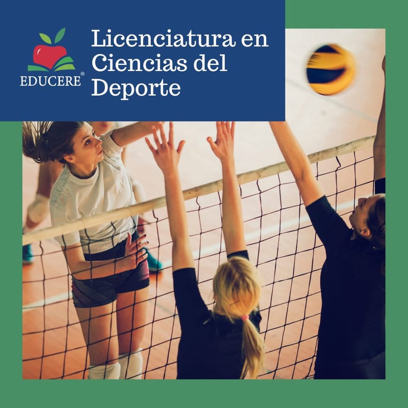 LICENCIATURA EN EDUCACIÓN FÍSICA Y CIENCIAS DEL DEPORTE