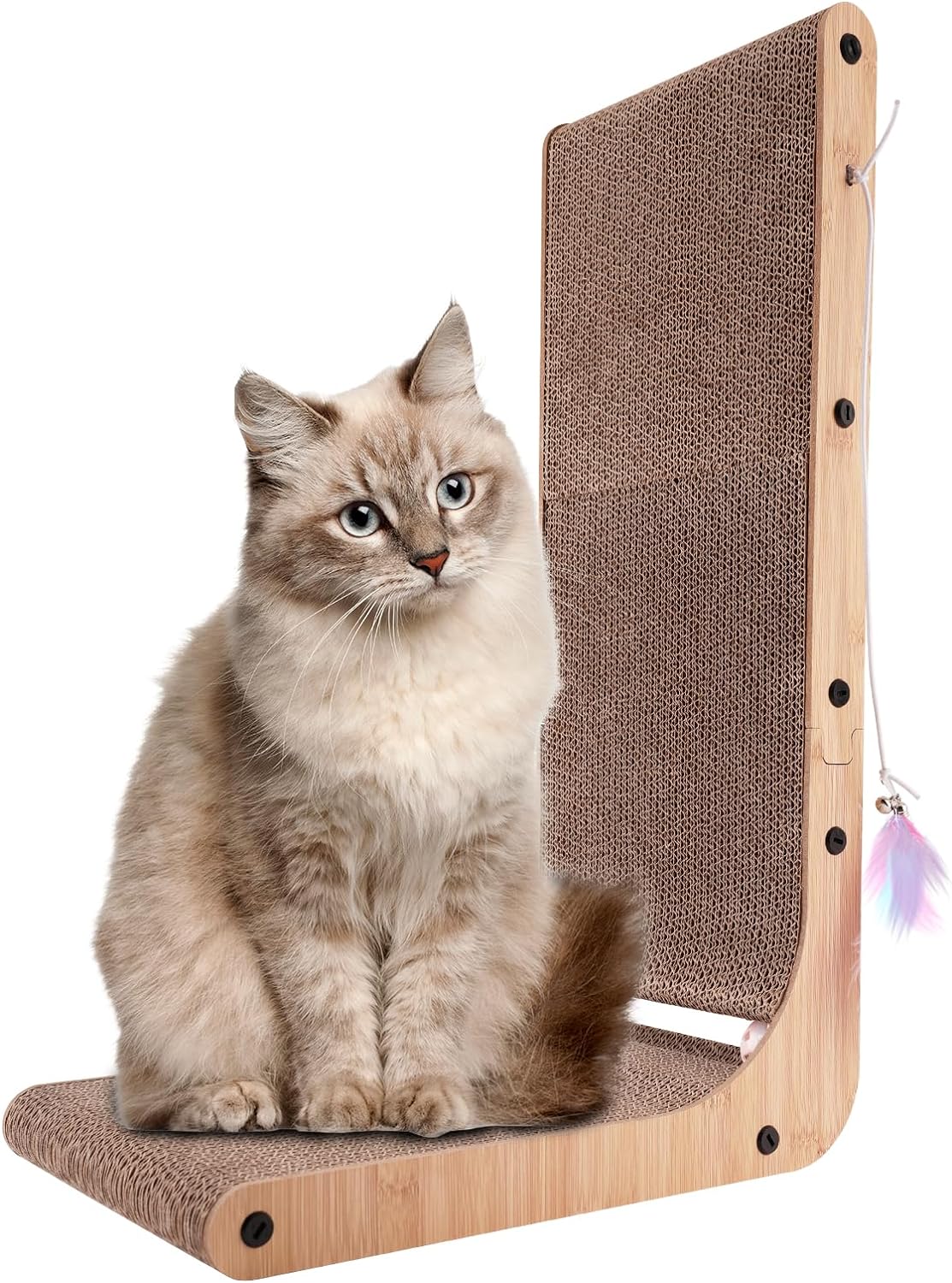 Medium hair cat sitting on a L-shaped cat scratcher