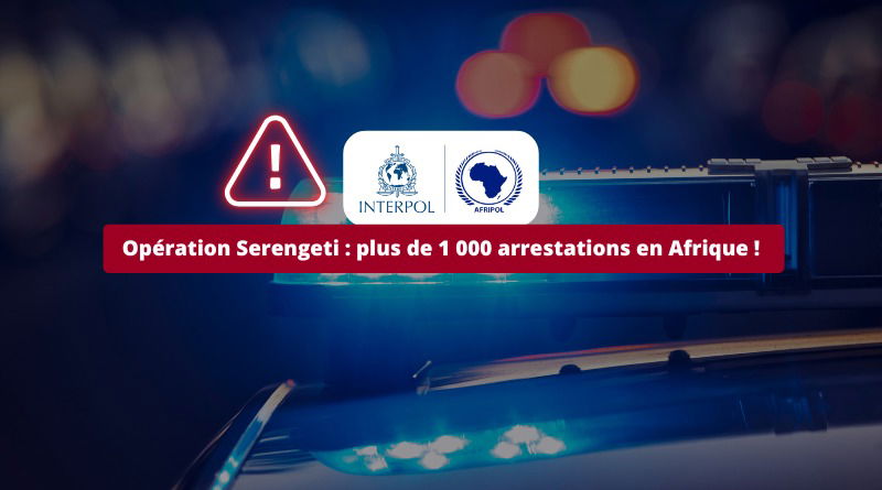 Lutte contre la cybercriminalité : plus de 1 000 arrestations en Afrique lors de l’opération Serengeti !
