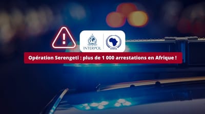 Lutte contre la cybercriminalité : plus de 1 000 arrestations en Afrique lors de l’opération Serengeti !