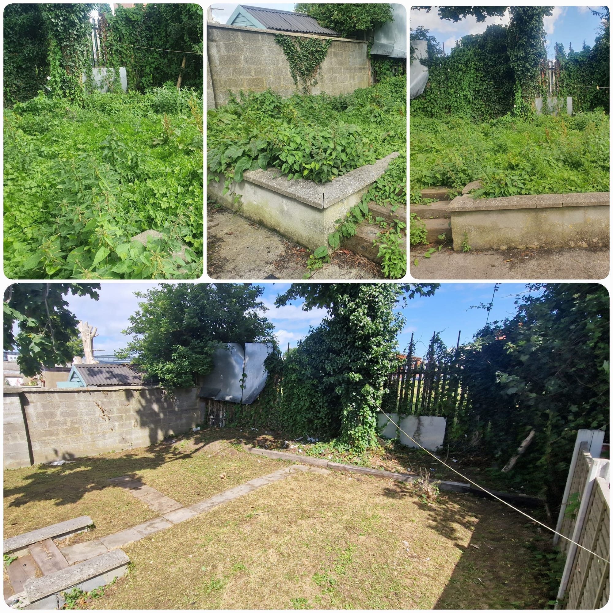 Garden Maintenance