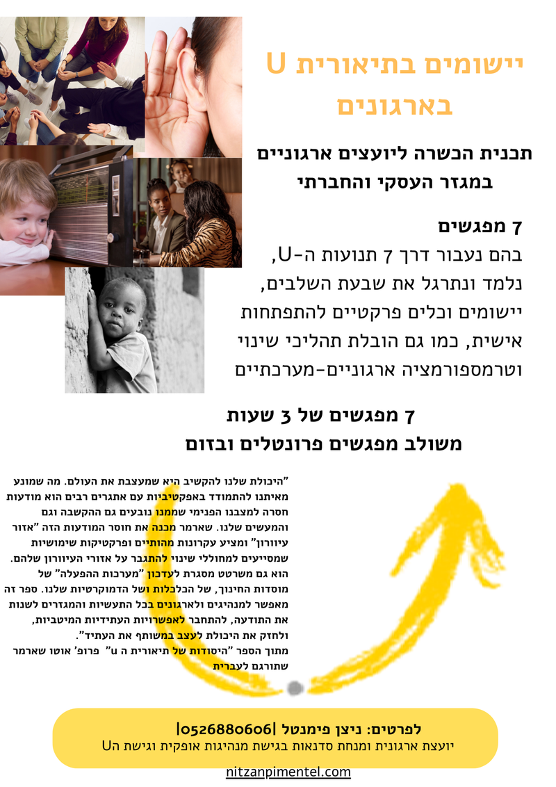 יישומים בתיאורית ה U  תכנית ליועצים ארגונים