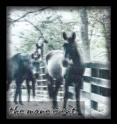 LIVE in the Pasture at Forester's Farm