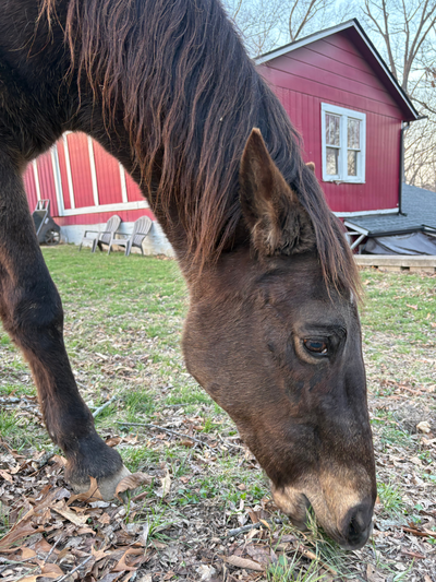 Ready for Spring - Crockett's Eye
