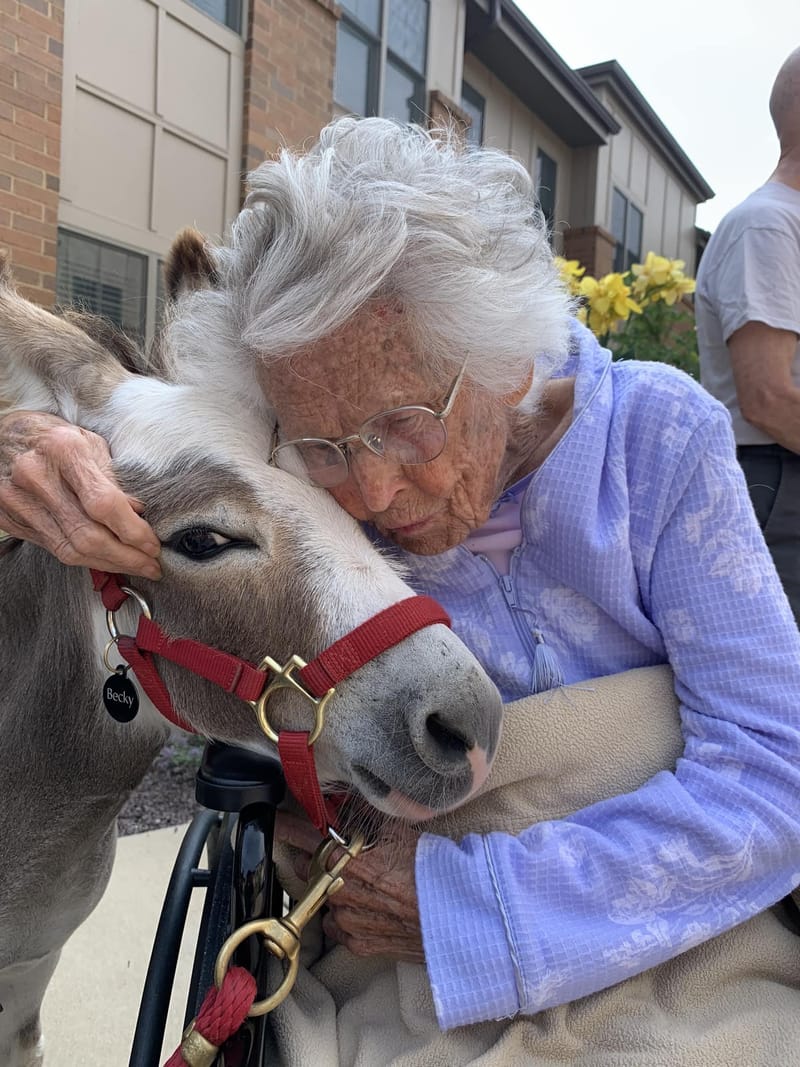 Friendship Village Chesterfield - Skilled Care