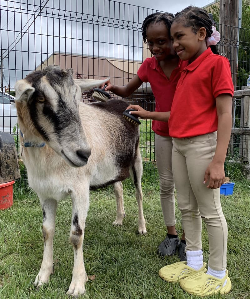 Lift for Life Academy, Elementary