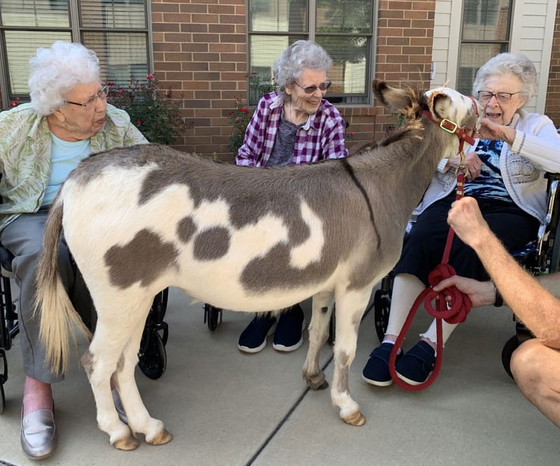Friendship Village Chesterfield - Skilled Care