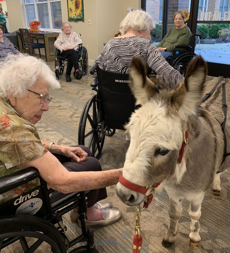 Friendship Village Chesterfield - Skilled Care