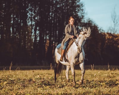 Discover the Beauty of Horseback Riding in Seattle, Washington