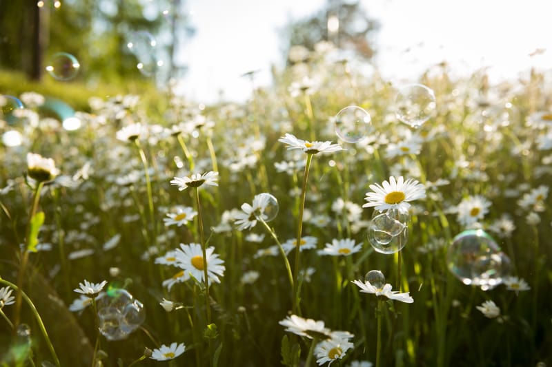 Qualifizierte Assistenz