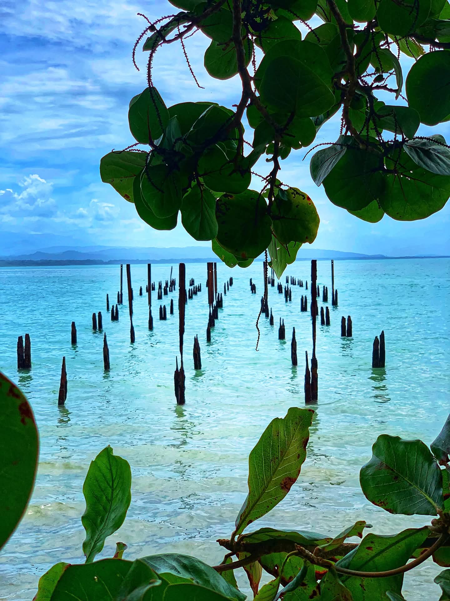 Parque Nacional Cahuita