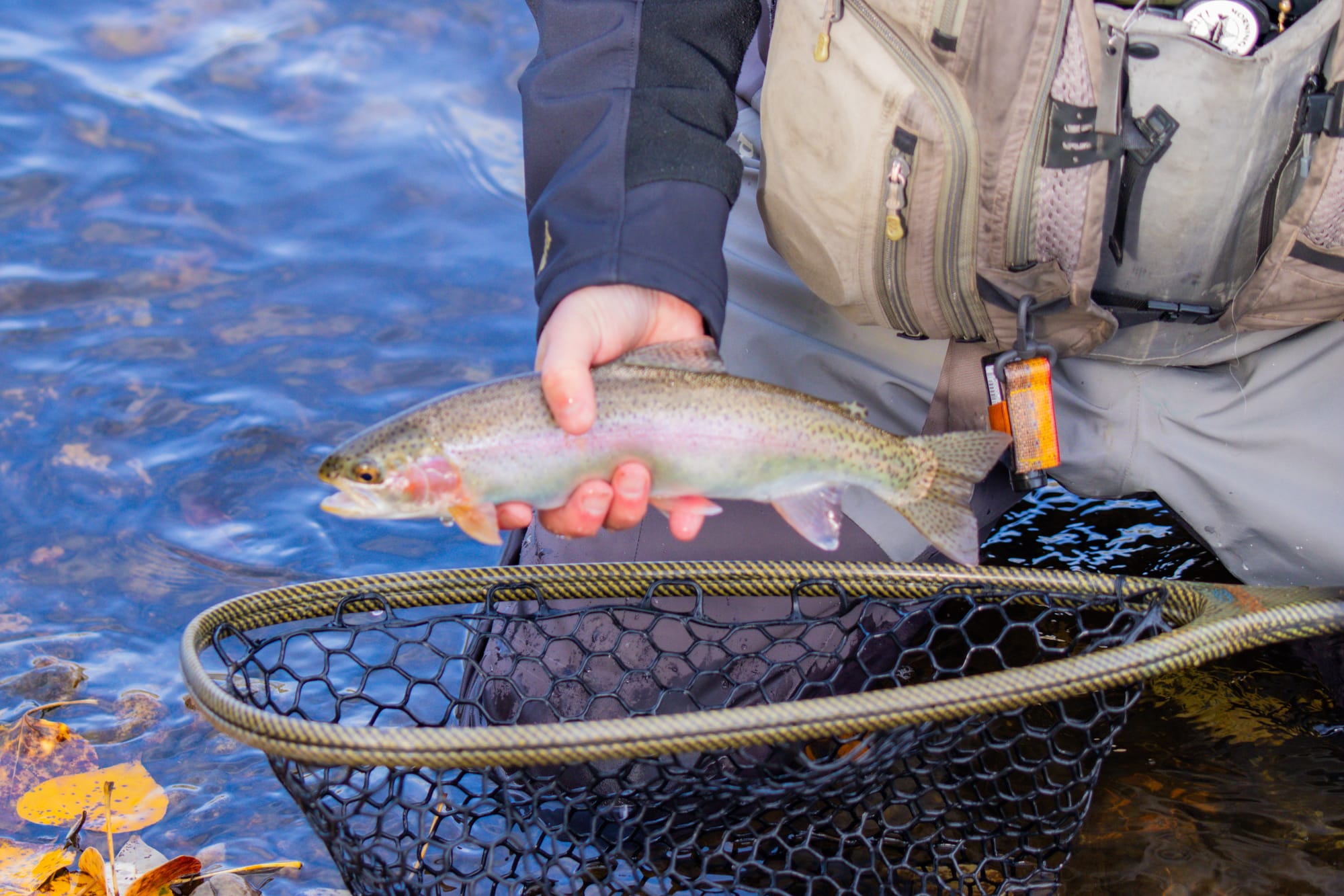 Pêche truite : les meilleures mouches, et comment les monter efficacement