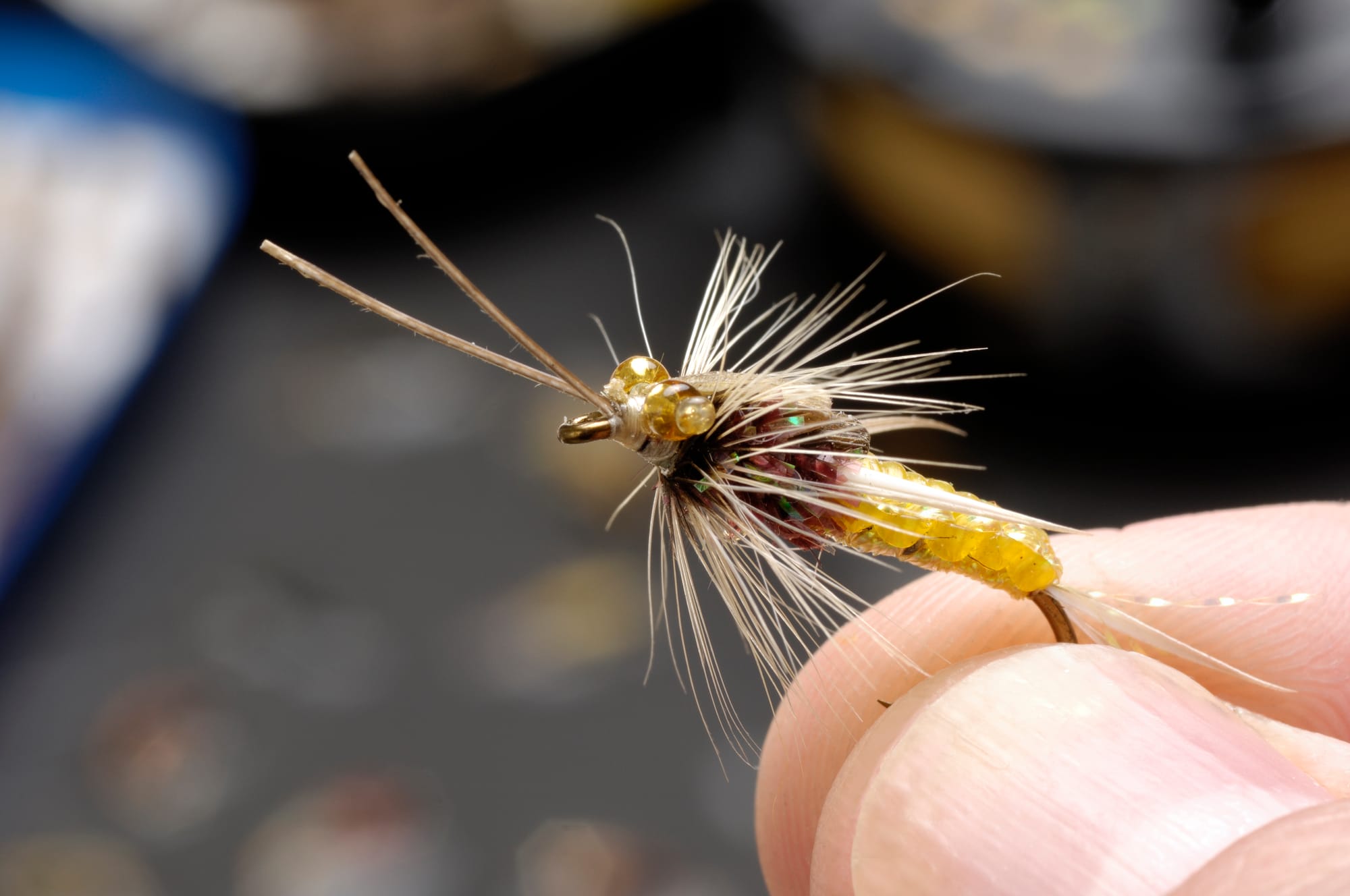 Montage mouche caddis adulte : proportions et travail de la plume CDC