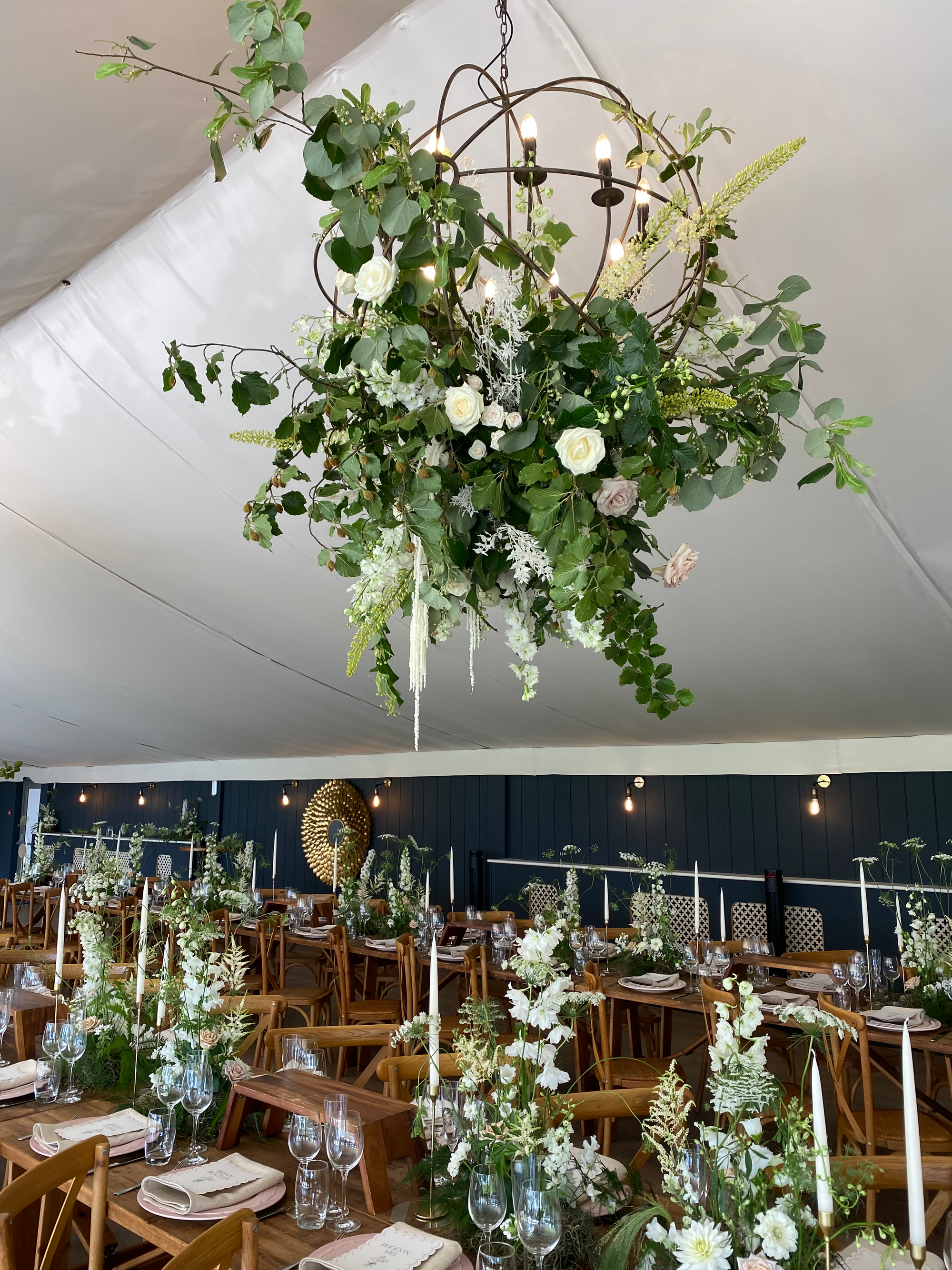 Florist Willow and Wisps