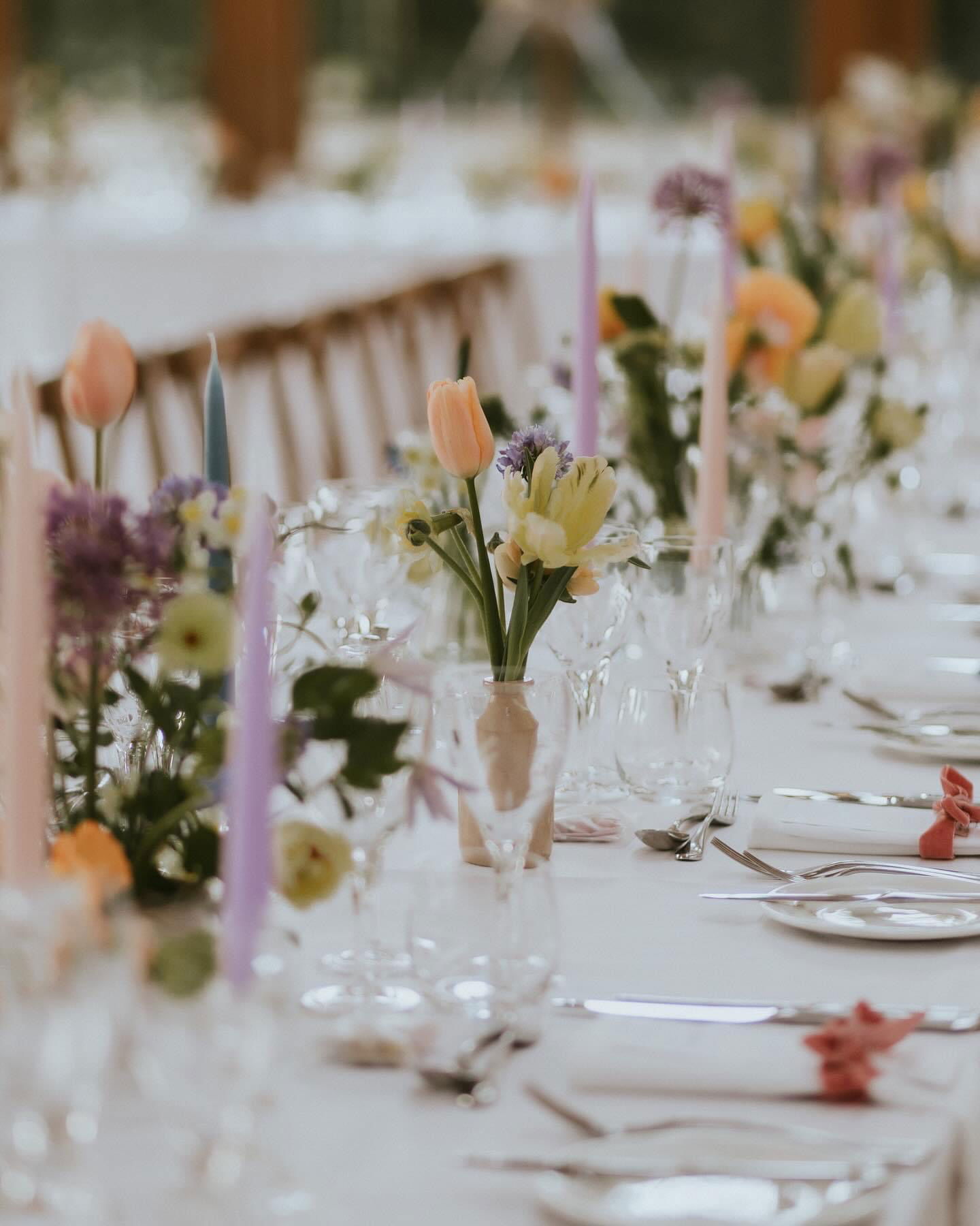 Florist Willow and Wisps