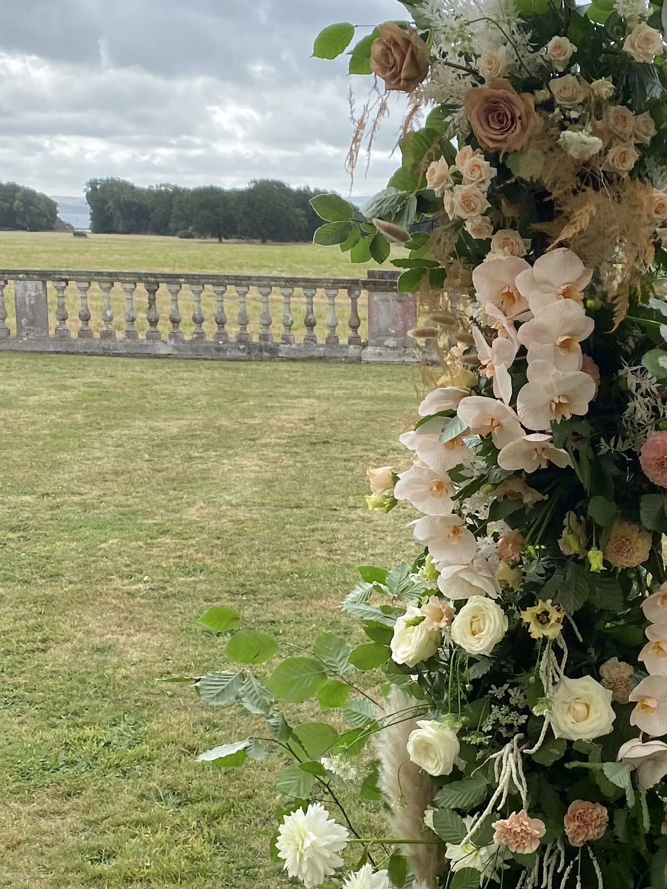 Florist Willow and Wisps