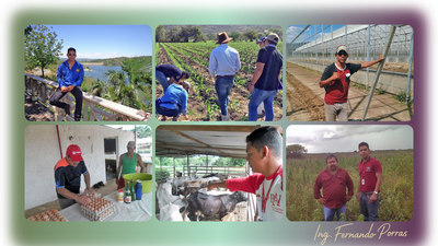 MI TRAYECTORIA PROFESIONAL