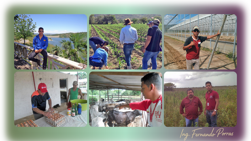 Mi trayectoria - De cada hectárea, una historia. De cada historia, una lección.