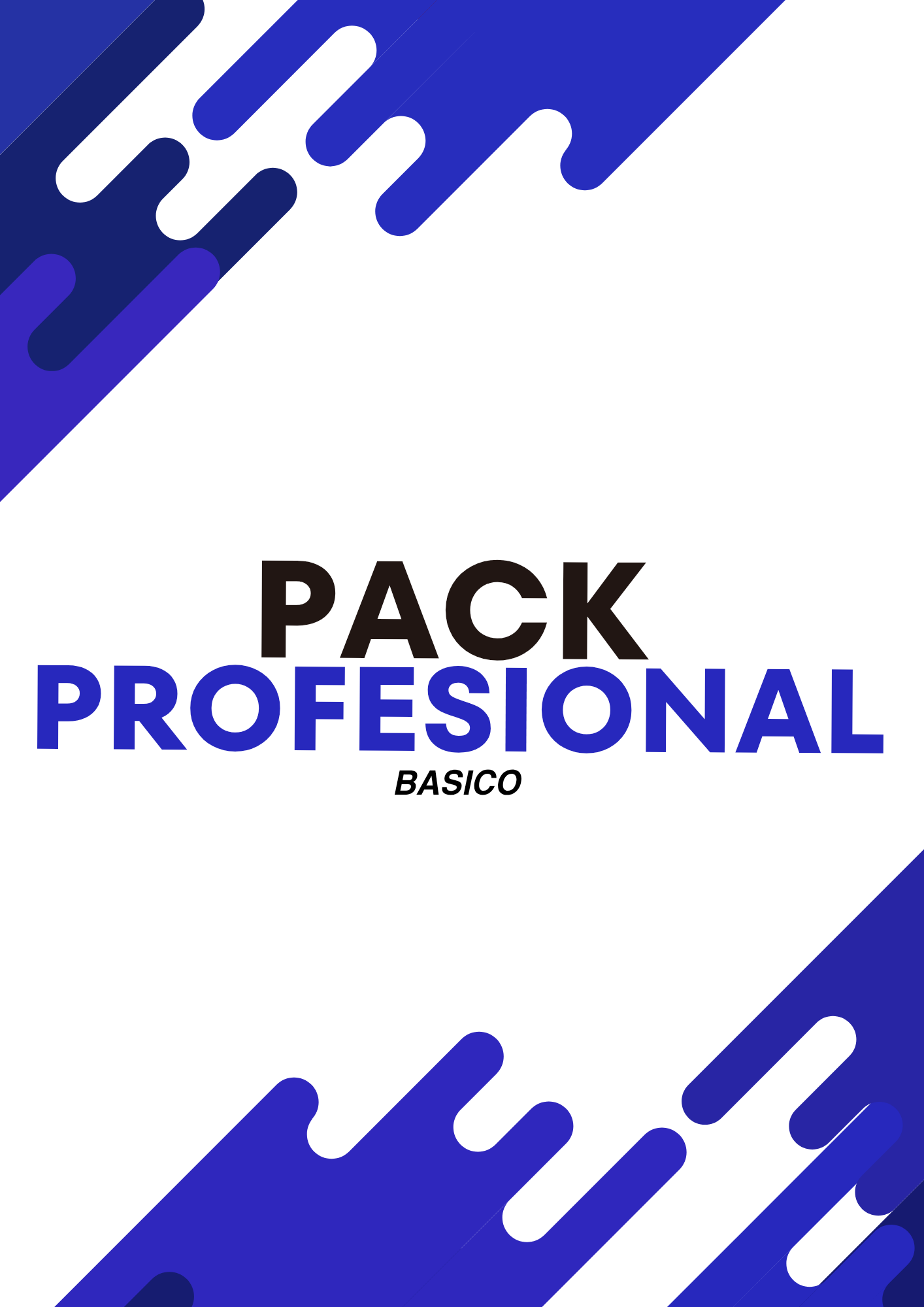 PACK PROFESIONAL BASICO