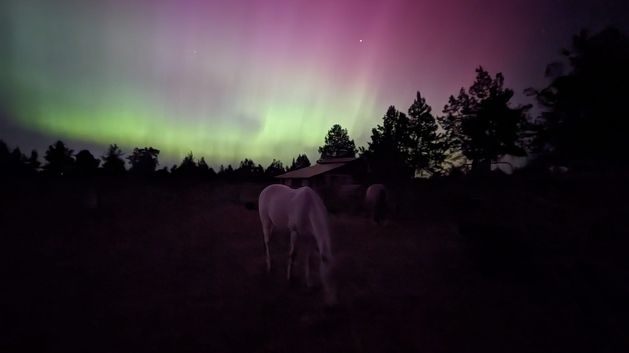 Neptune and the Aurora Lights