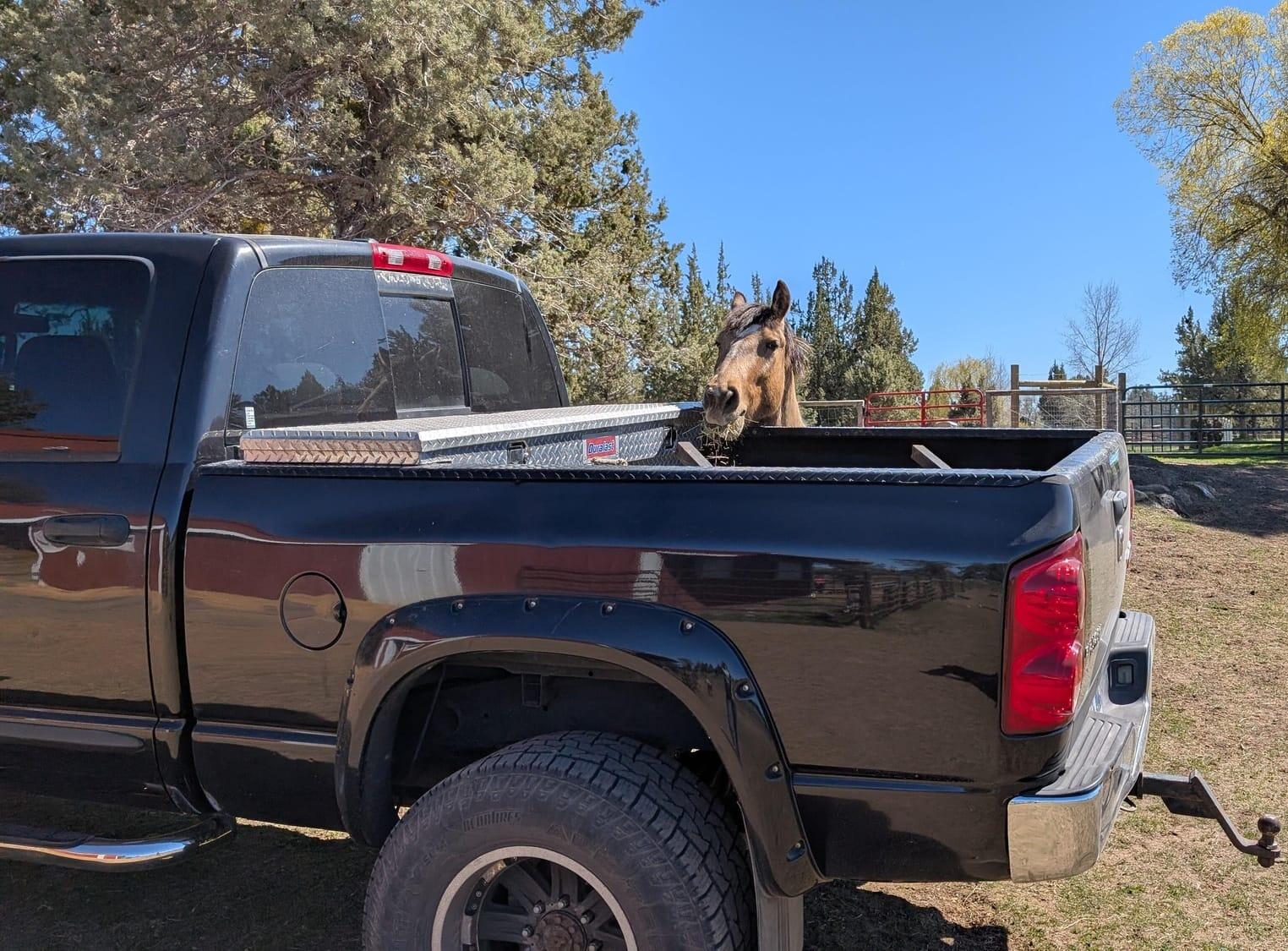 Apache likes Trucks :)